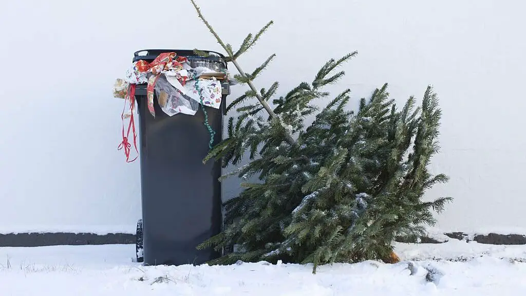Christmas-Tree-Trash-Pickup-2023