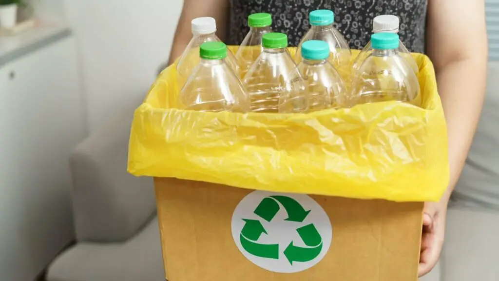 Somerville-Trash-Recycling-Pickup