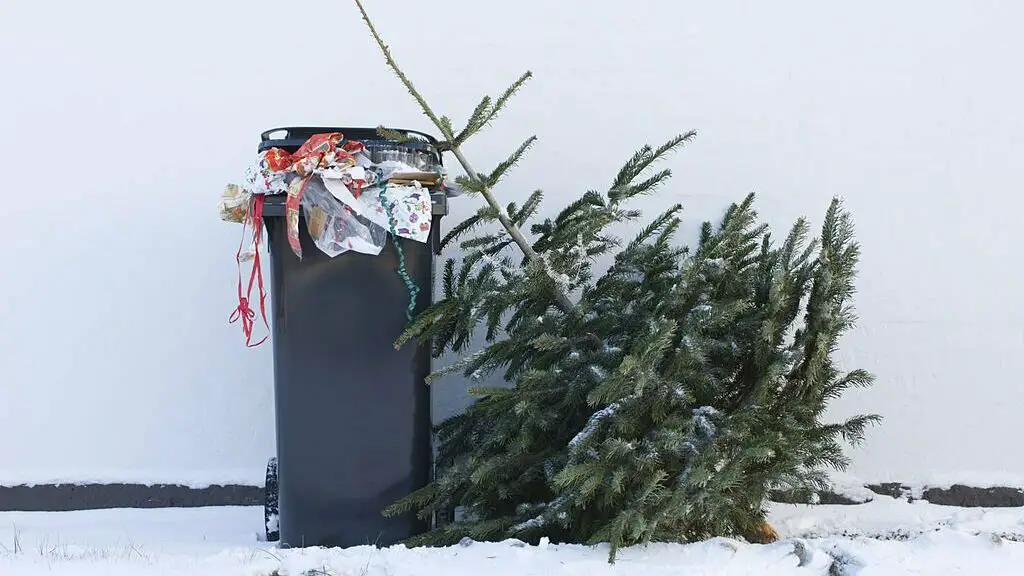 Waste Management Christmas Schedule Trash Pickup
